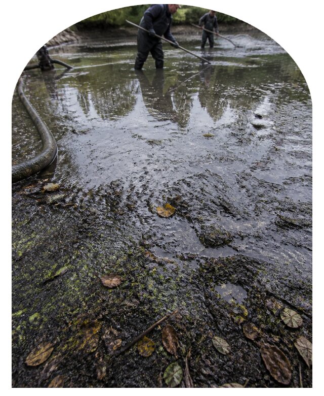 Очистка пруда в Дмитрах от ила мусора и водорослей с вывозом